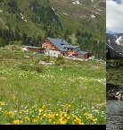 Bewirtschaftete Almhütte mit rotem Dach in einer Blumenwiese voller gelber Trollblumen, dahinter grüne Almhänge im Wattental.