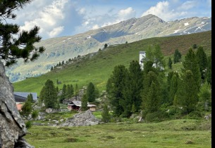 Panoramablick über sanfte Almflächen mit Zirben und einer alten Almhütte, im Hintergrund grasbewachsene Bergrücken im Wattental.