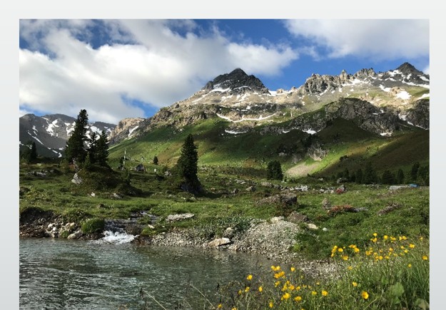 Aktuelle Farbaufnahme der Lizumer Sonnenspitze vom Lizumer Talboden aus: schroffer Gipfel mit Restschnee über grünen Almwiesen, im Vordergrund ein klarer Bergbach mit gelben Blumen.